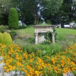 ハーブ🌿でビックリ