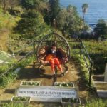 伊豆って良い所ですね！！🏝