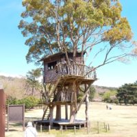 御客様一押✌️お花見🌸行ってきました😉