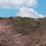 御客様一押✌️お花見🌸行ってきました😉