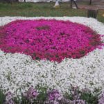 バス🚌旅行行って来ました！