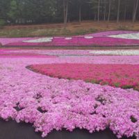 バス🚌旅行行って来ました！