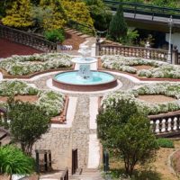 ローズガーデンの小鳥ハウスに行ってきました😃